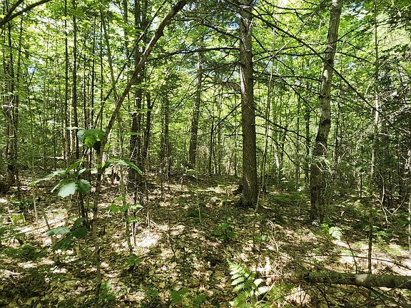 2nd image of TBD Bridgton Road