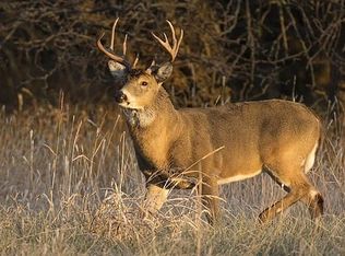 6872 Marathon Rd, Fostoria, MI 48435