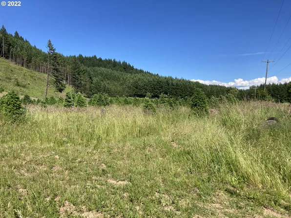 1 Gooseneck Rd, Sheridan, OR 97378