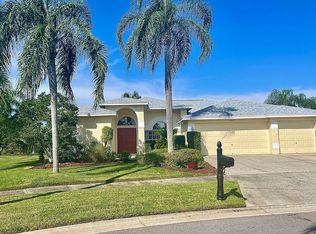 10112 Vista Pointe Dr, Tampa, FL 33635