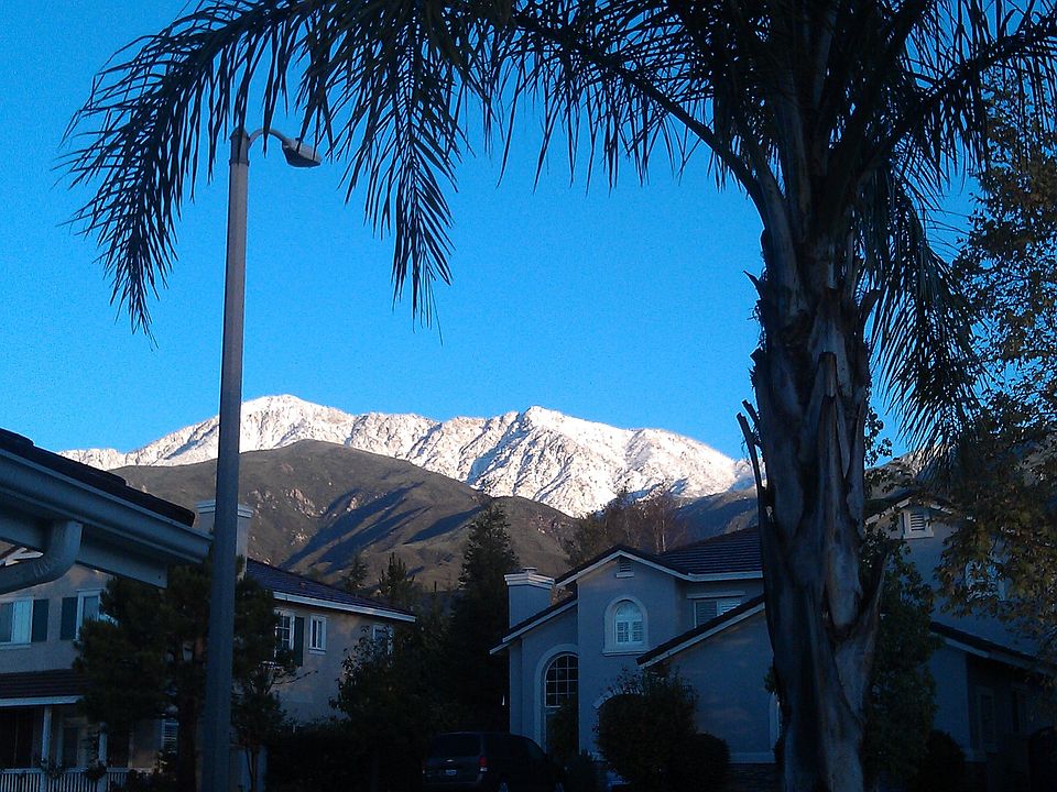 Front yard View