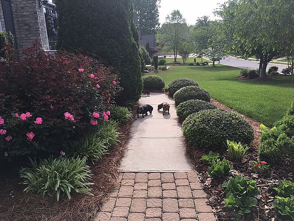 Front sidewalk 