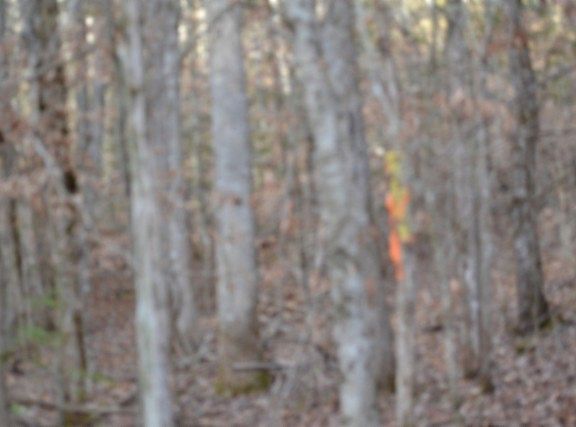 4th image of 0 Steel Tram Rdg Lot 151