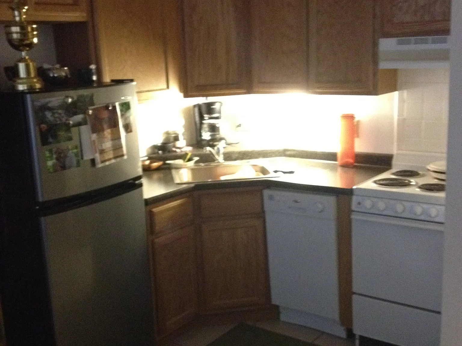 Studio, $725 — Photo 2