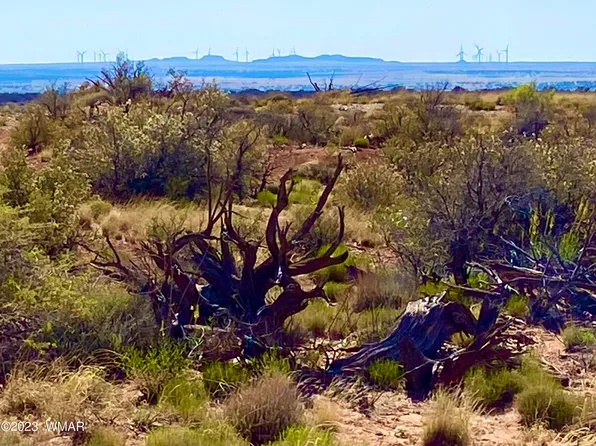 Willis Hill Trl, Snowflake, AZ 85937