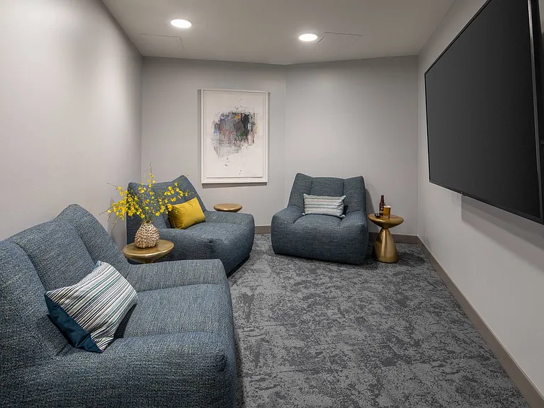 Entertainment Room