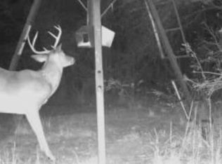 18237 185th Rd, Live Oak, FL 32060