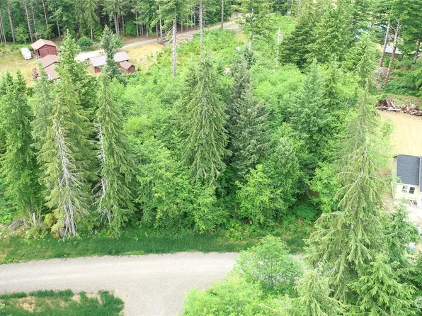 9999 Lot 43 Thomas Street, Forks, WA 98331