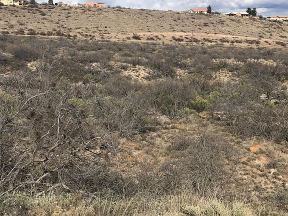 5th image of 00 Wild Horse