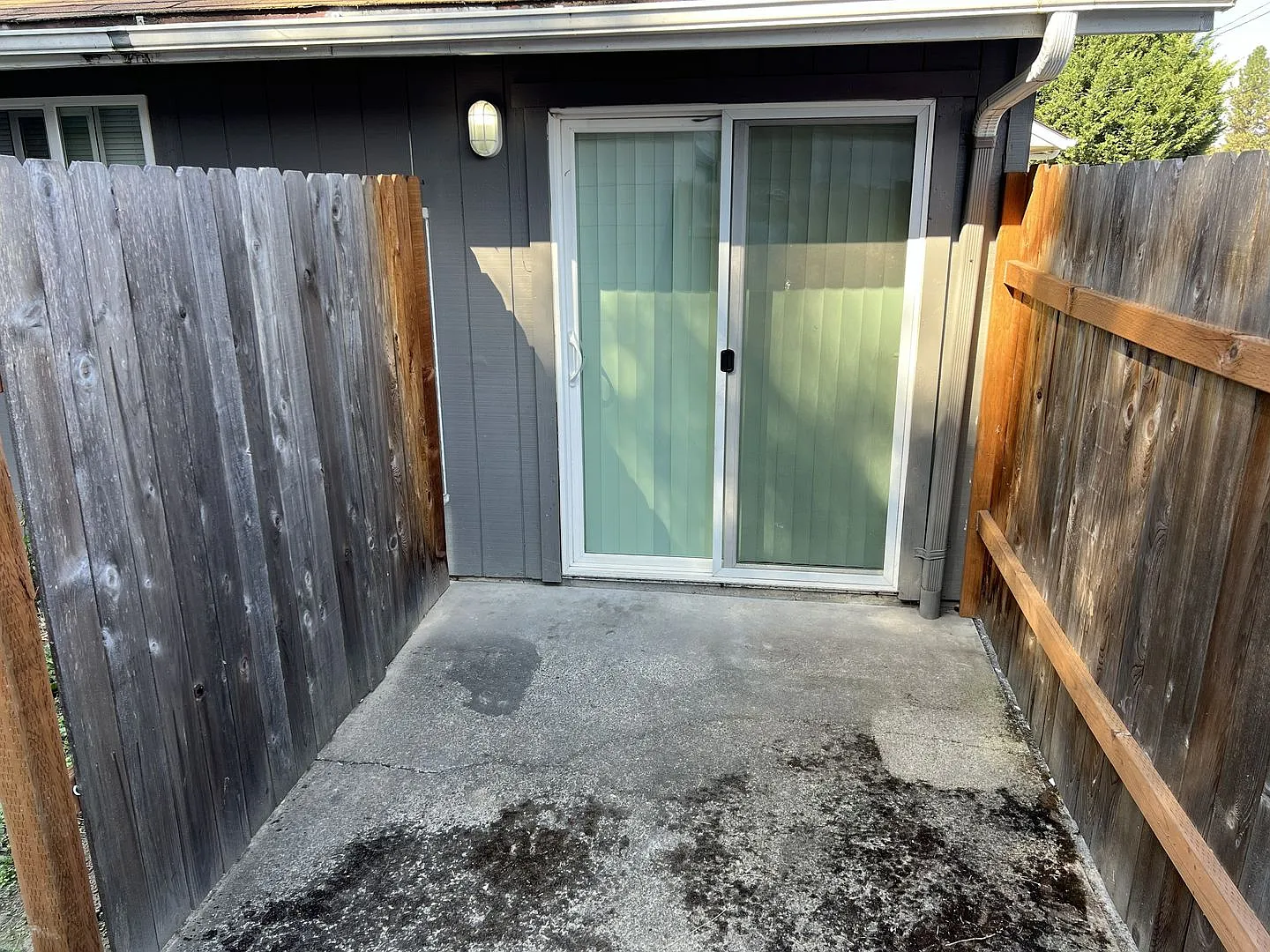 Denver Triplex — Photo 4
