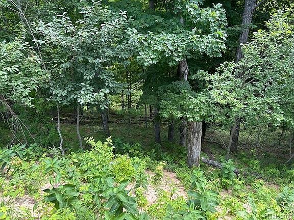 3rd image of PARCEL Lake Bluff Rd #A