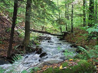 LOT 1B The Woods At Duck Hbr, Equinunk, PA 18417