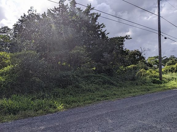 2nd image of 11th Avenue Kika Lot 775