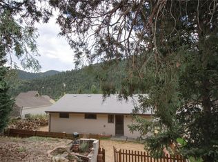 310 Virginia St, Idaho Springs, CO 80452