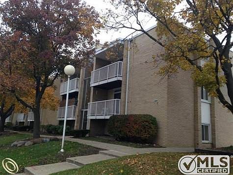 Crooks front view.JPG