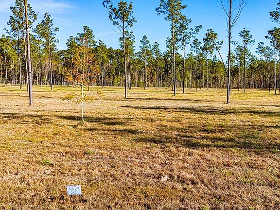 3rd image of LOT 20 Big Buck Dr