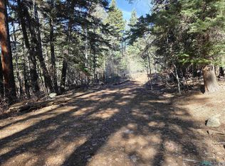 29 & 30 Brazos Lodge Estates Dr, Chama, NM 87520