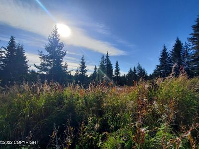 67695 Shavila Rd, Ninilchik, AK, 99639