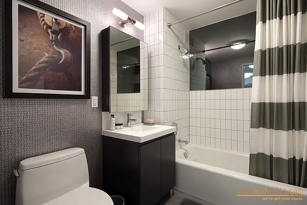 Rented by aptsandlofts.com | media 11