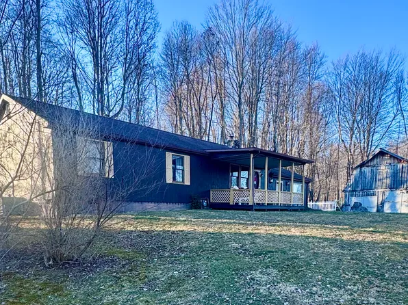 311 Herold St, Craigsville, WV 26205