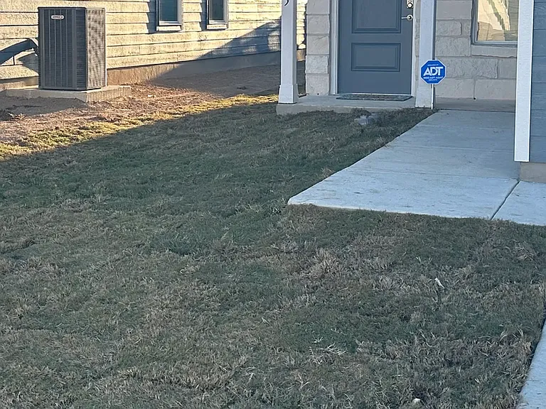 Front Yard