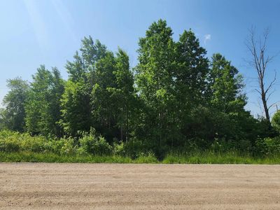 N M 65, Whittemore, MI, 48770