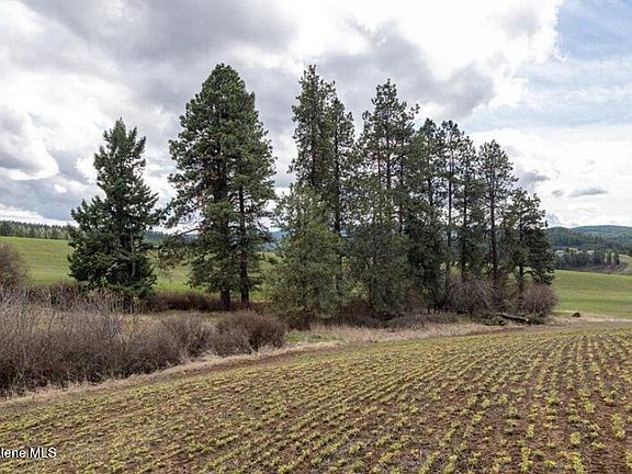 2nd image of Nka Clifford Rd