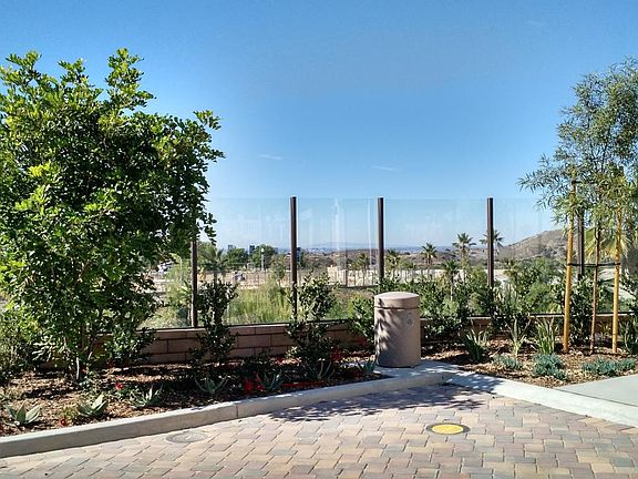 Left side of the house