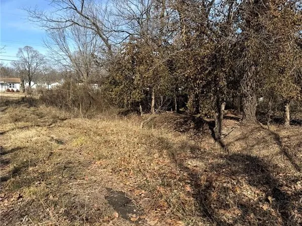 Back Lot Laurel St, Joplin, MO 64801