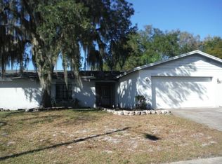 3910 Casaba Loop, Valrico, FL 33596