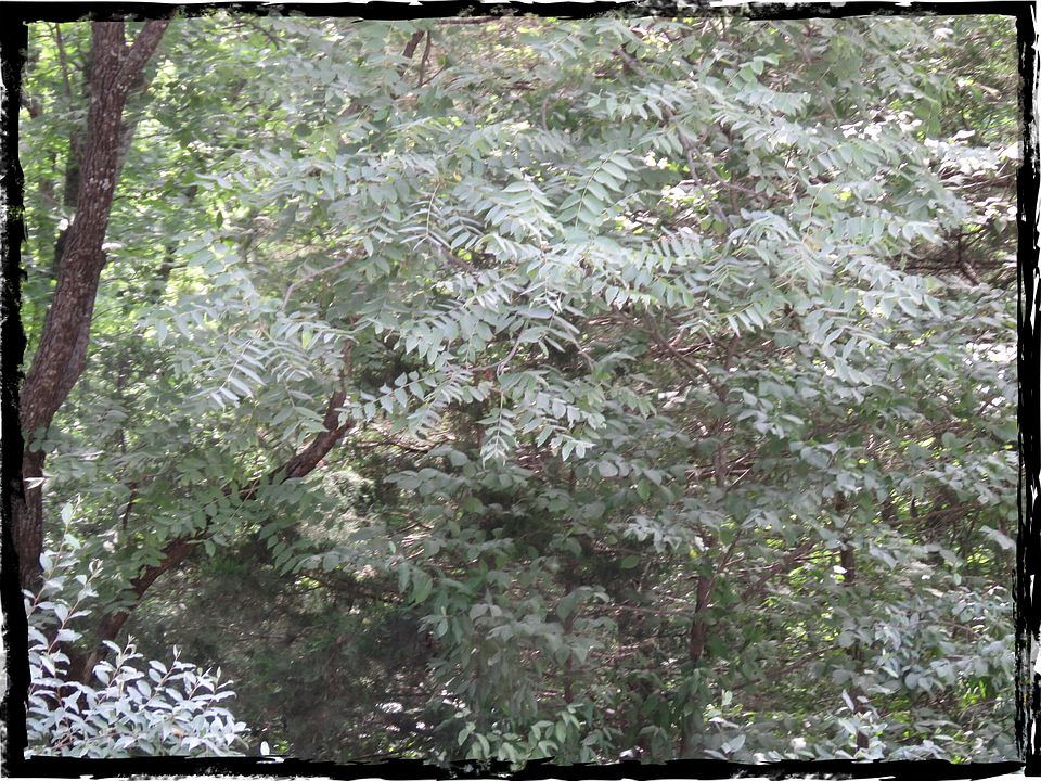 445 Elk Lake Resort Rd Owenton, KY, 40359 Apartments for Rent Zillow