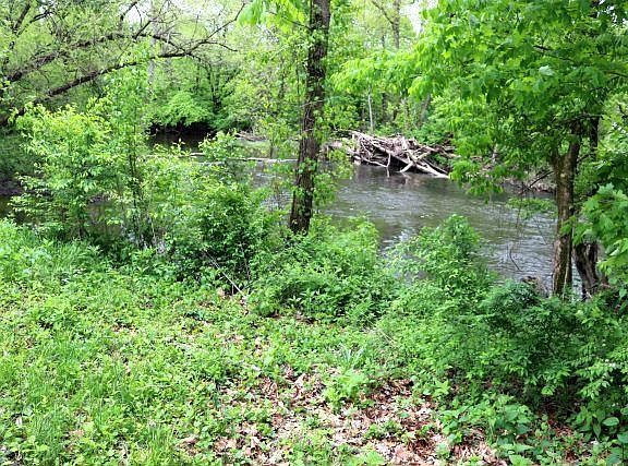 5th image of 267 Sumption Dr