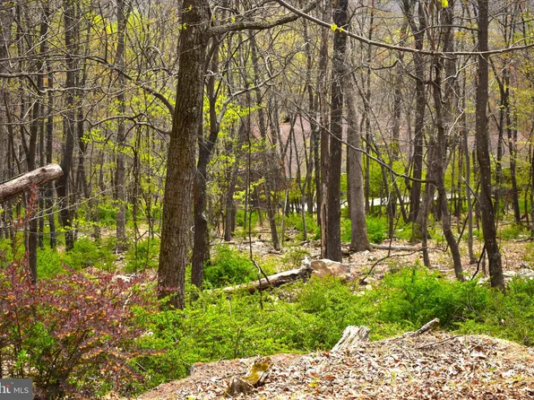 18 Merlin Tor Dr, Paw Paw, WV 25434
