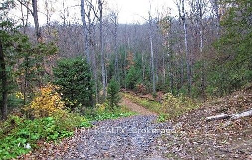 3rd image of 1827 Hybla Rd
