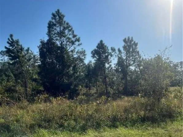 1222 Greenwood Ave, Lehigh Acres, FL 33972