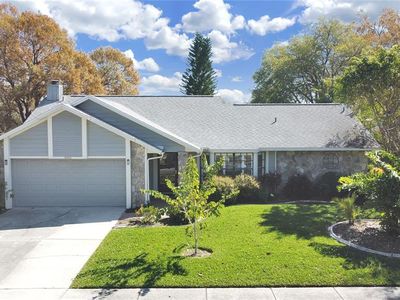 10432 Tara Dr, Riverview, FL, 33578