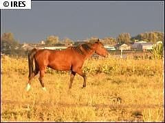1st image of 37622 County Road 49 #Weld