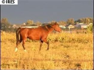 37622 County Road 49 #WELD, Eaton, CO 80615