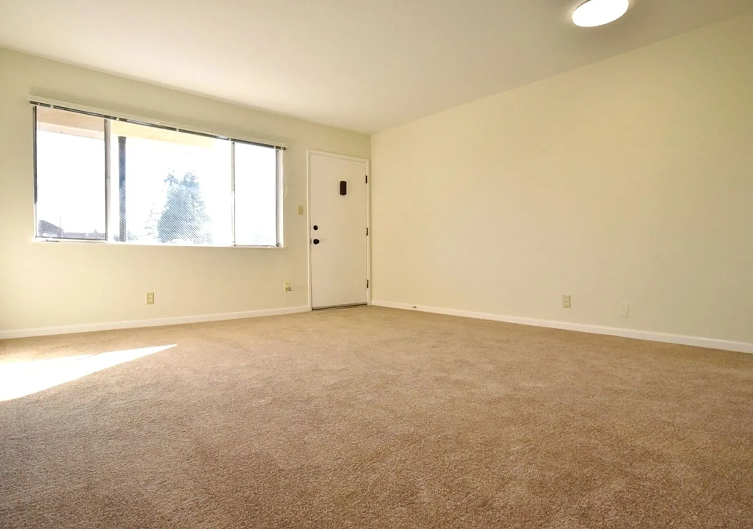 2132 Roosevelt — Photo 3