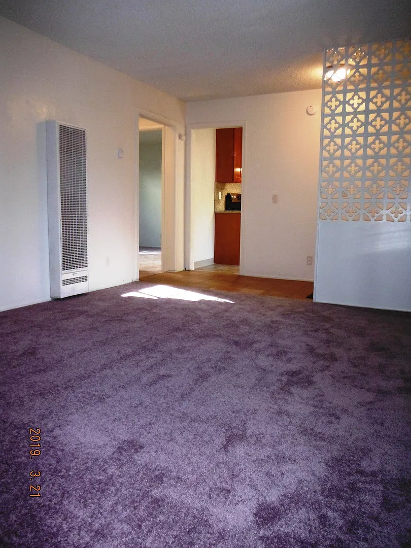 Refurbished 2bd First Floor 4-Plex Apartment + Patio|Carport — Photo 4