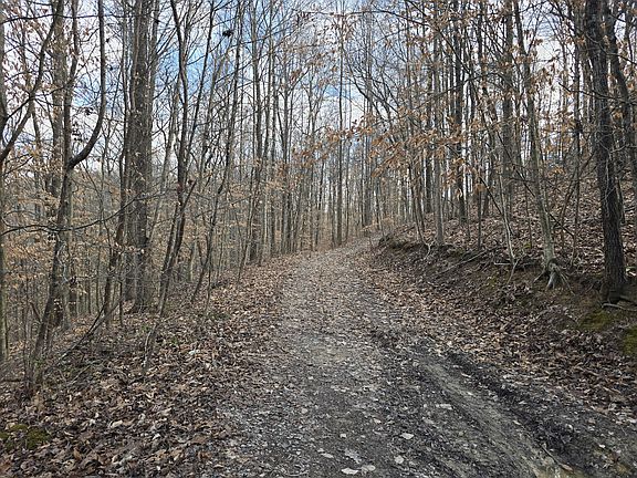 2nd image of 3 Maple Grove Rd