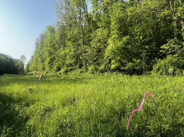 Painter Ridge Rd, Langsville, OH 45741