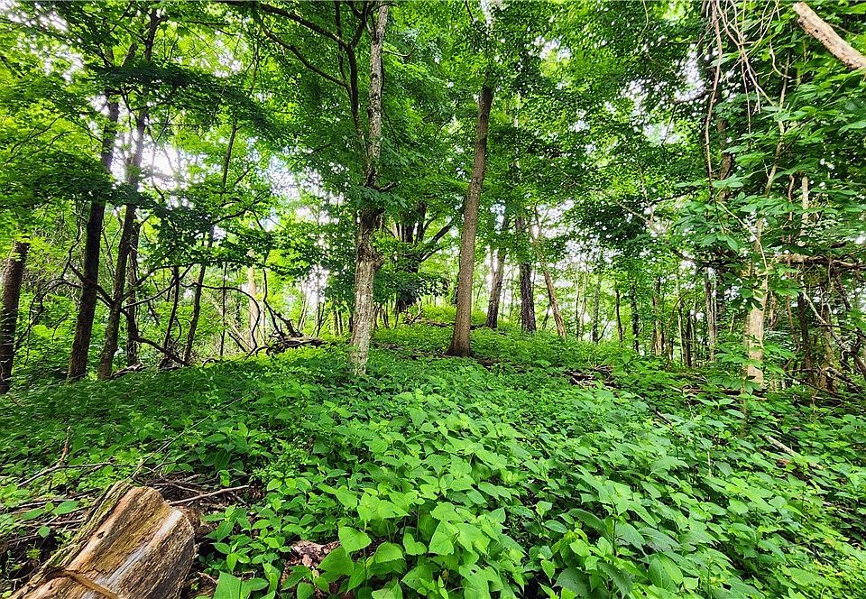 1st image of TBD Beech Mountain Road