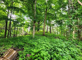 TBD Beech Mountain Road, Elk Park, NC 28622