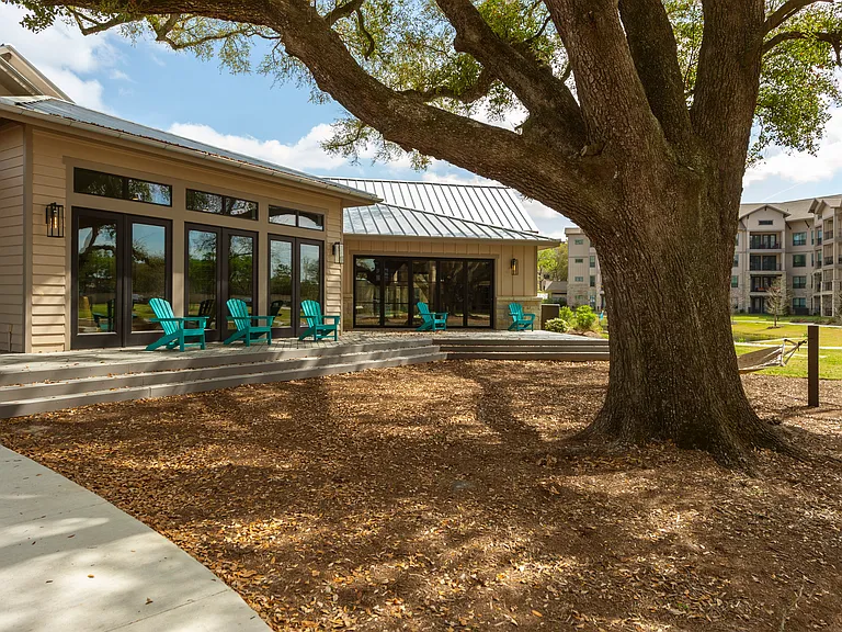 Savannah Oaks in Spring — Photo 7