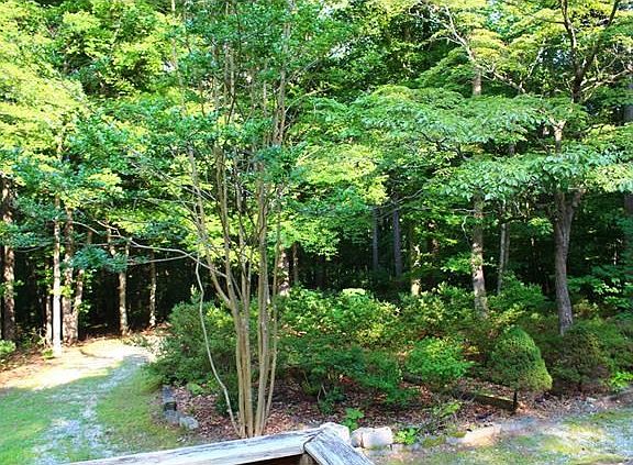 View off front deck.