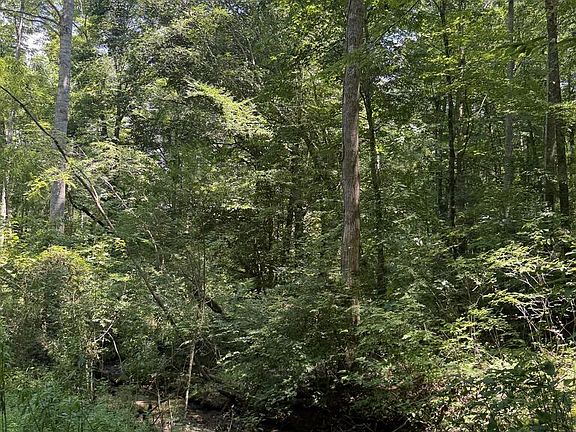 5th image of LOT 5 Blair Creek Rdg