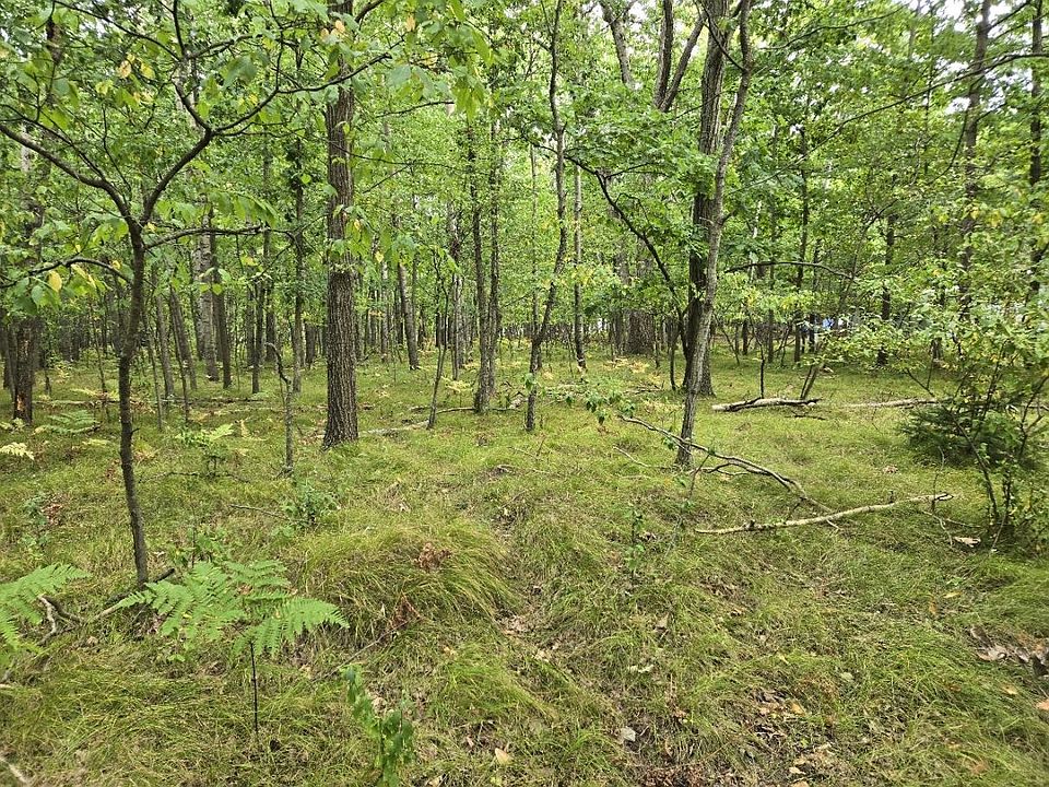 1st image of 1009 Castle Dr Lot 88