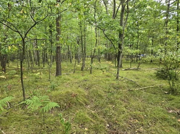 1009 Castle Dr Lot 88, Weidman, MI 48893