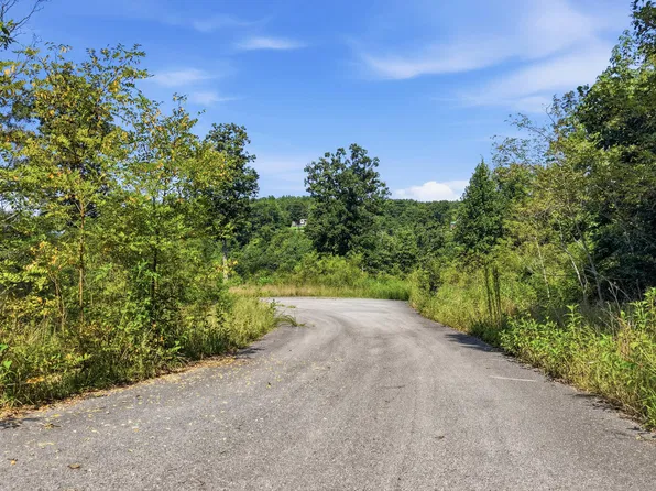 622 Coyote Trl, Spencer, TN 38585